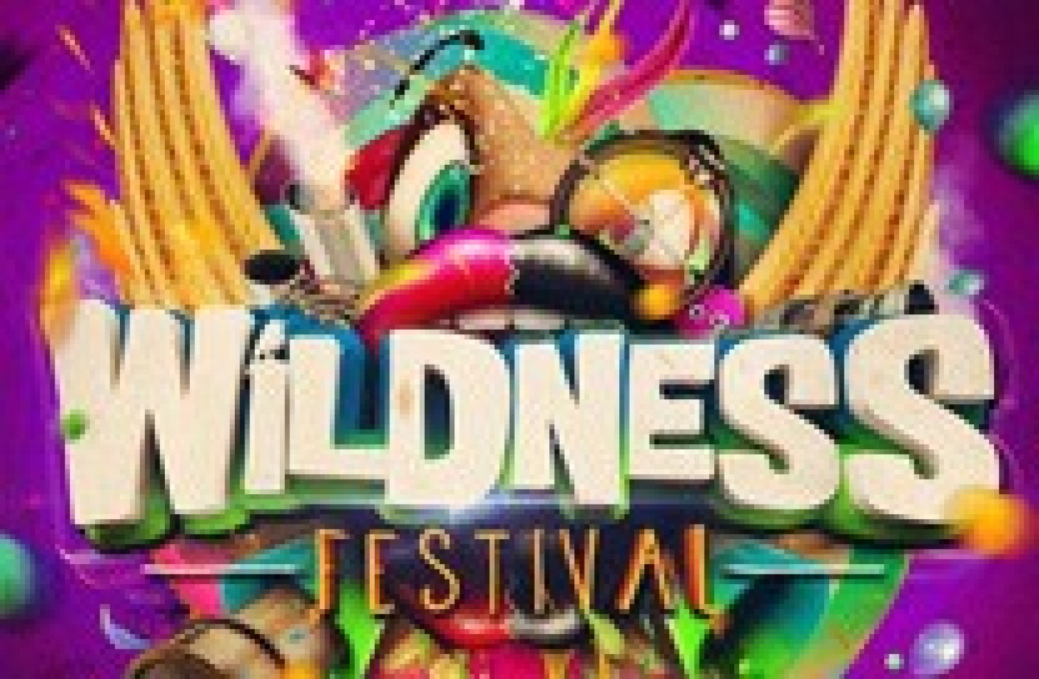 Party nieuws: Wildness Festival is het nieuwste festival in Zwolle