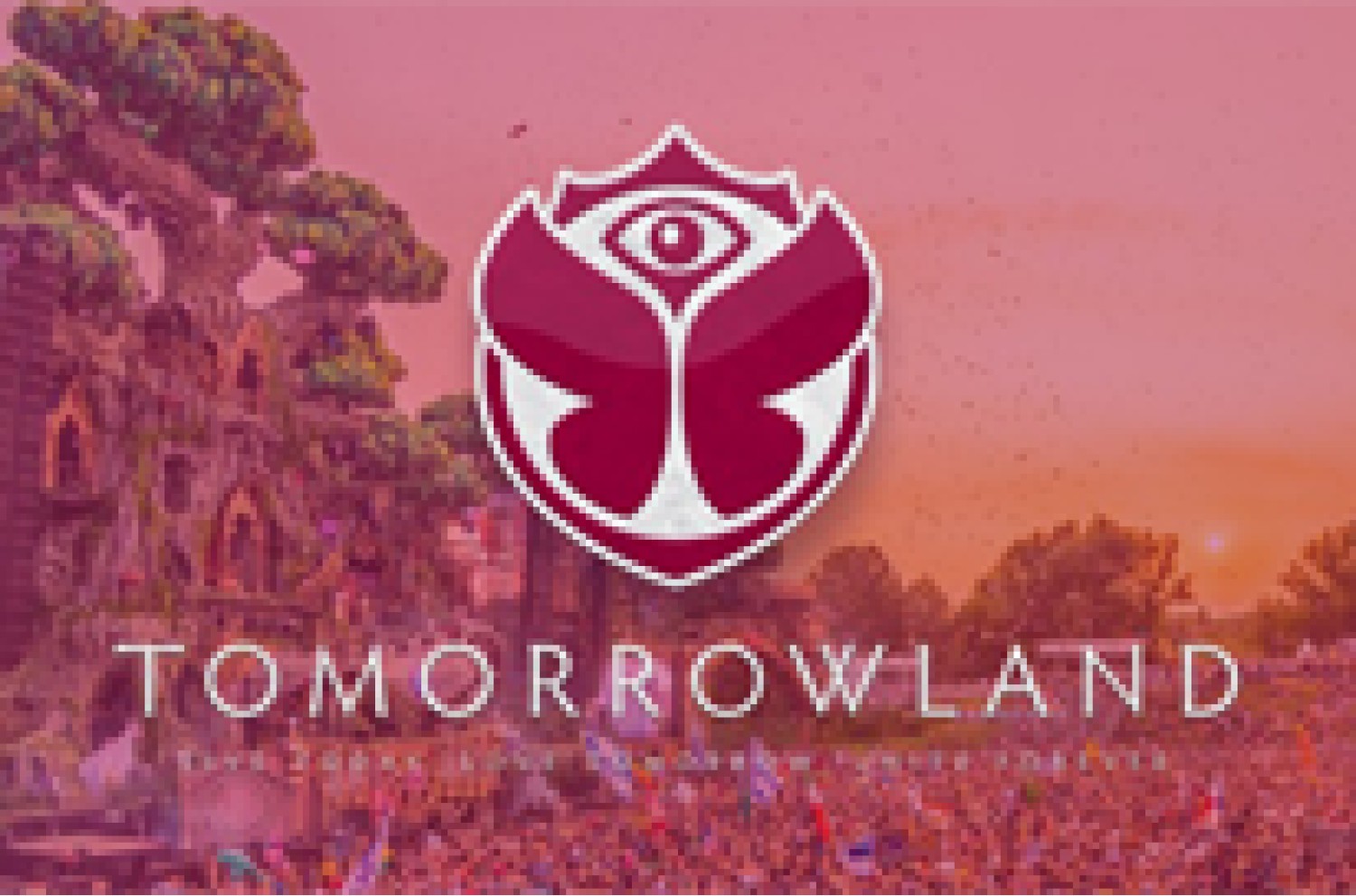 Party nieuws: Al 35 mensen toegang geweigerd voor Tomorrowland 2017