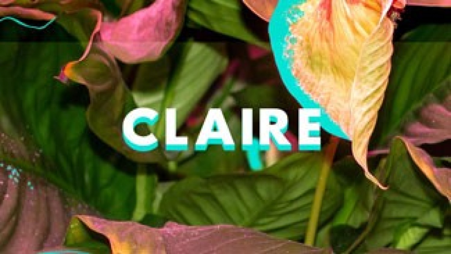 Party nieuws: Nachtclub Claire sluit na drie jaar haar deuren