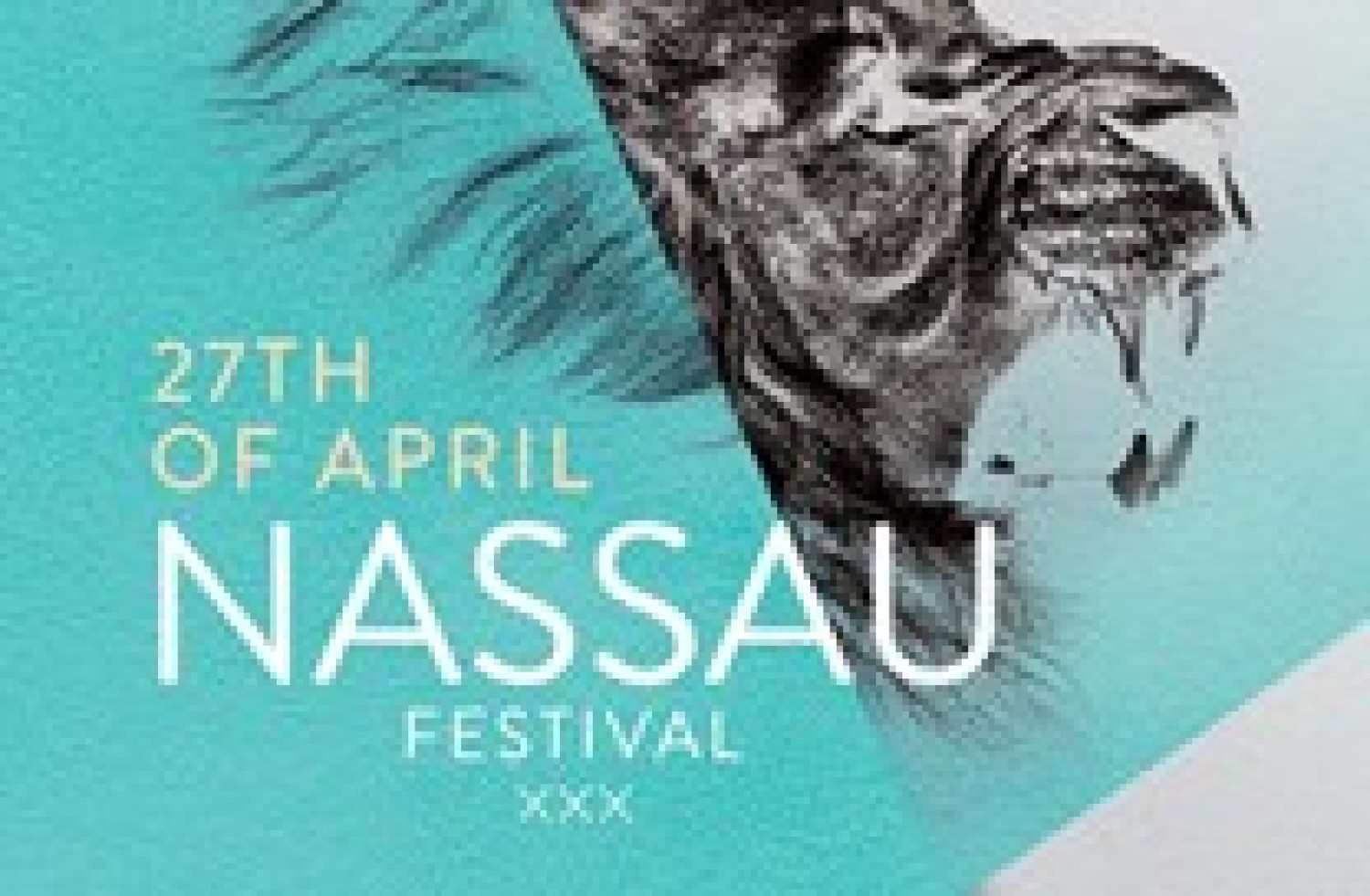 Party report: Nassau Festival, Amsterdam (27-04-2016)