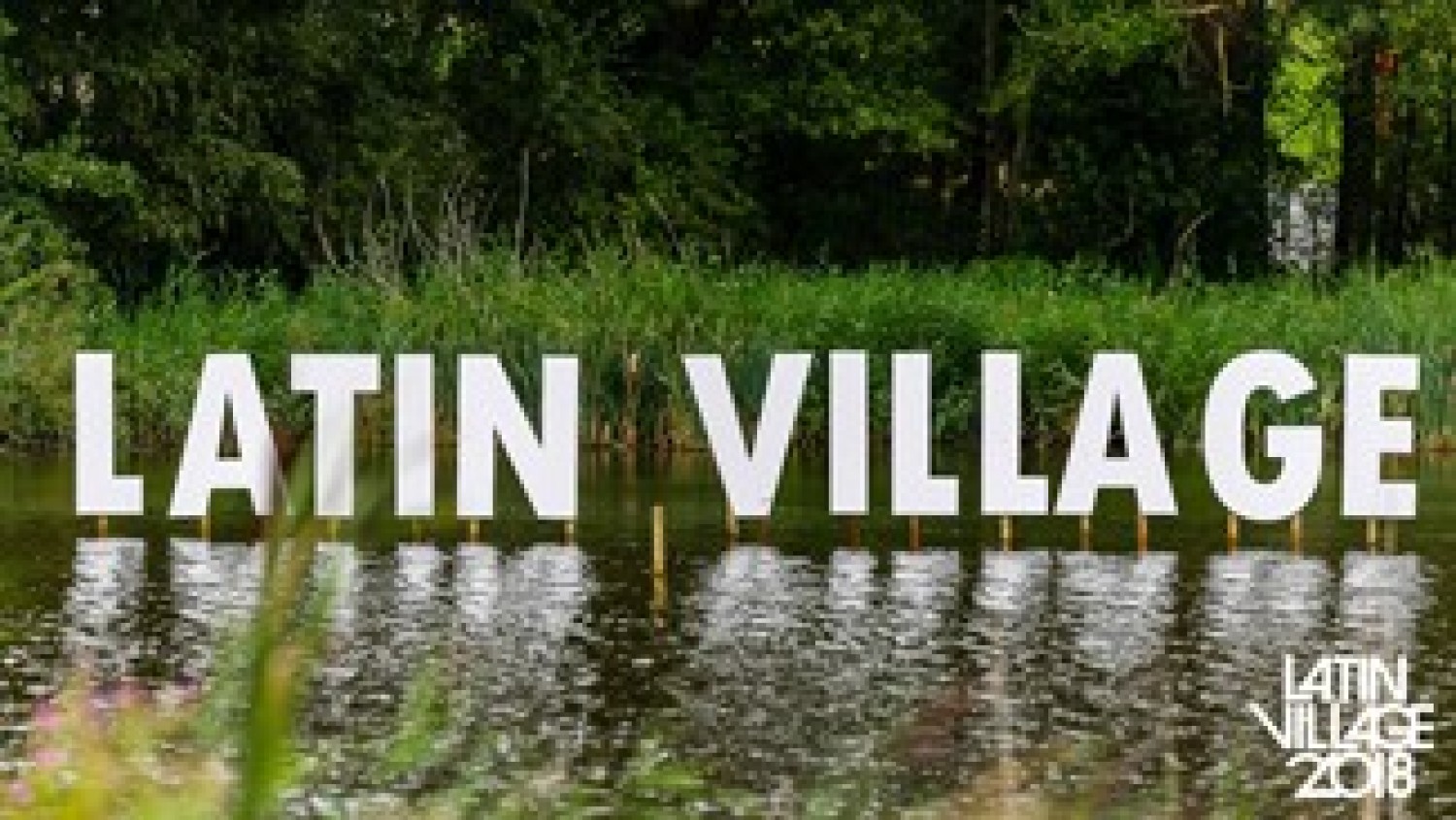 Party report: LatinVillage Festival, Spaarnwoude (19-08-2018)