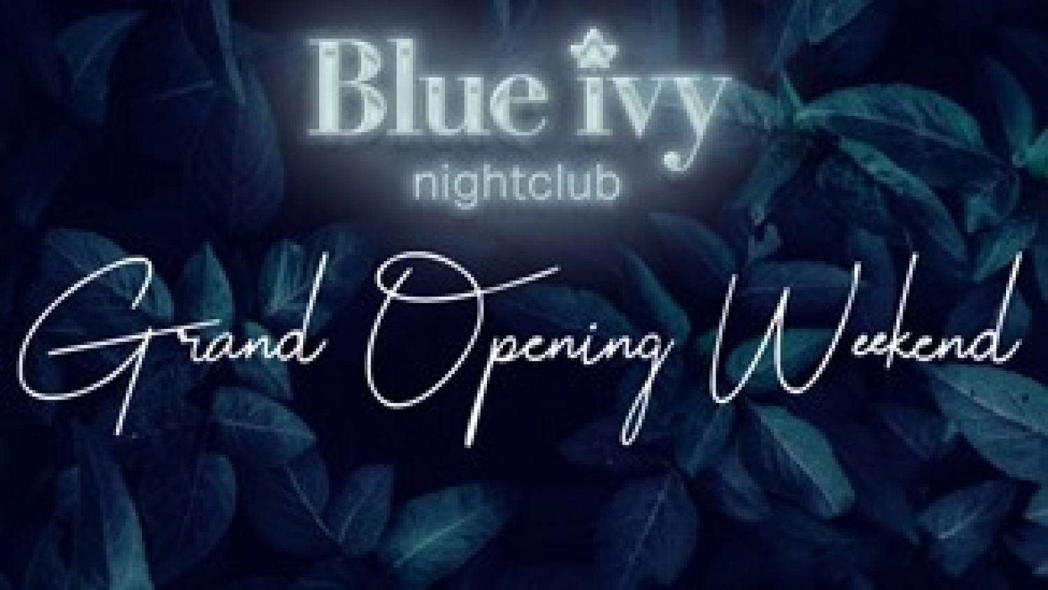 Party nieuws: Blue Ivy Nightclub opent haar deuren in Amsterdam!
