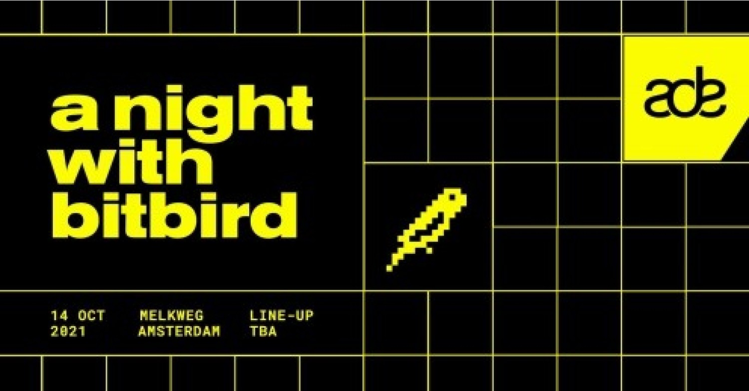 A Night with Bitbird
