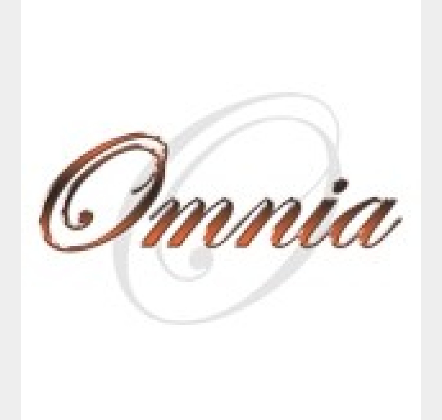 Omnia Events BV